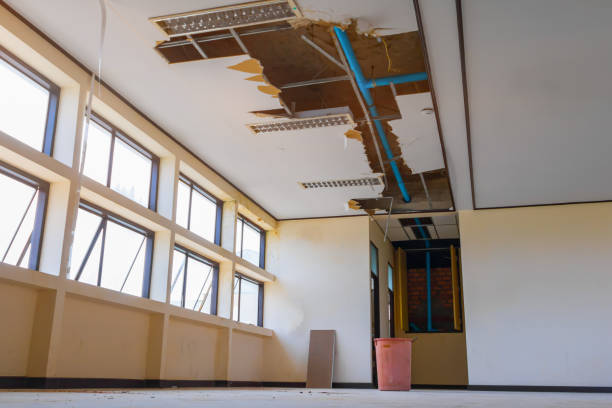 Best Water damage cleanup near me  in Delisle, MS