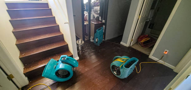 Best Commercial water damage restoration  in Delisle, MS