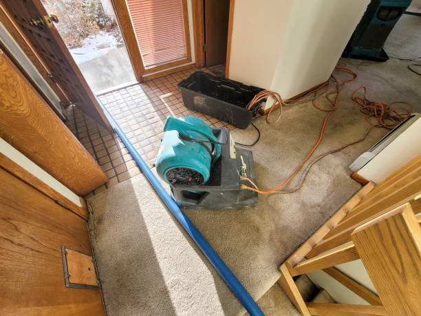 Water damage restoration insurance claims in MS