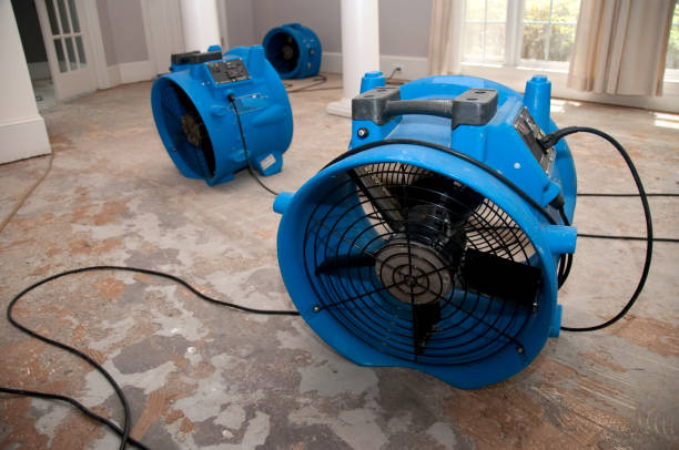 Best Water damage contractors near me  in Delisle, MS