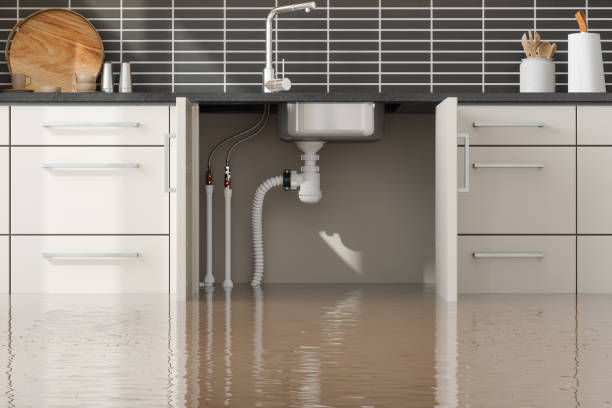 Best Professional water damage repair  in Delisle, MS