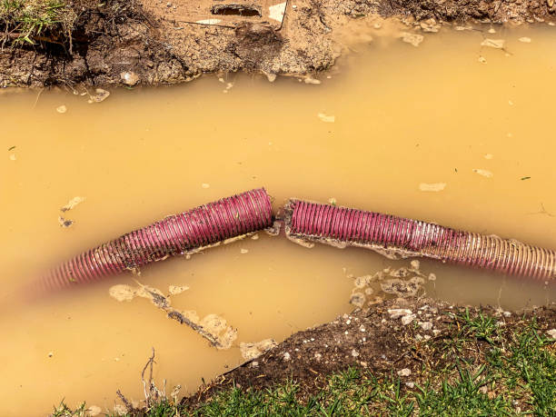 Best Water damage restoration near me  in Delisle, MS