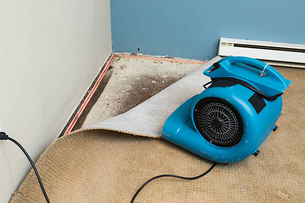 Best Basement water damage restoration  in Delisle, MS